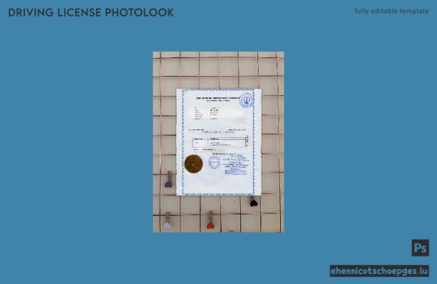 Myanmar Führerschein Kostenlose Fotoansicht Beispielvorschau